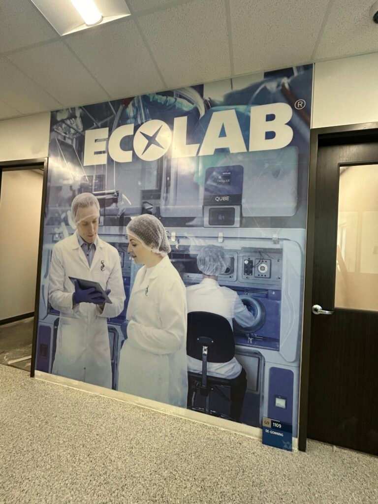 Graphic Murals