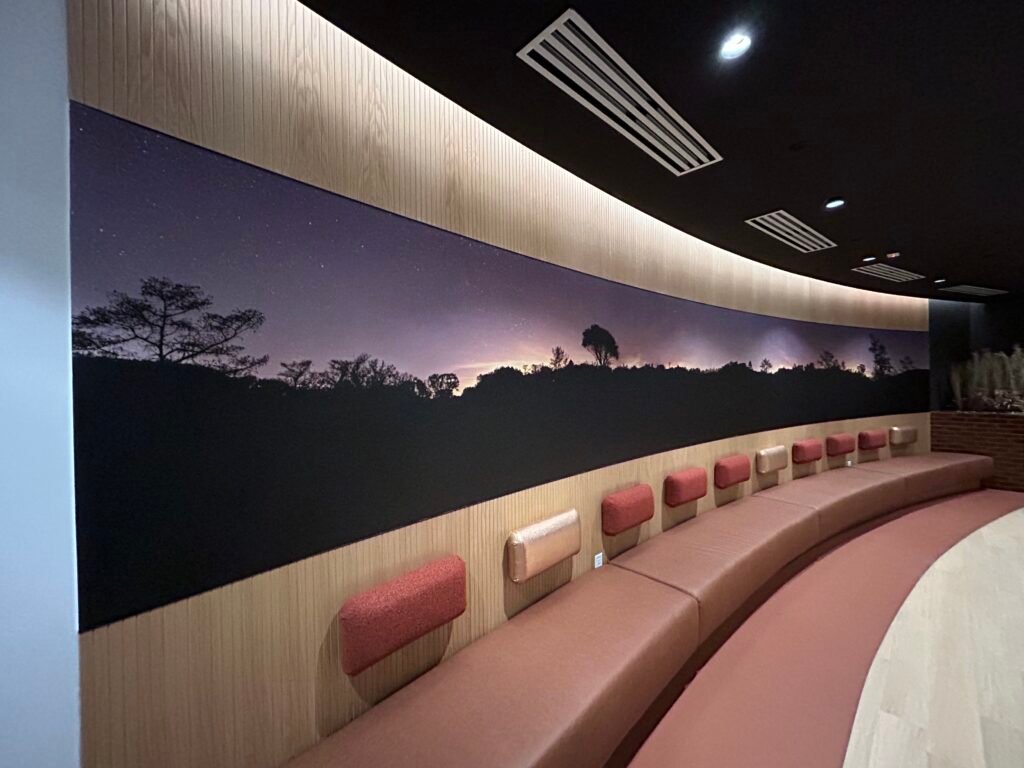 Graphic Murals