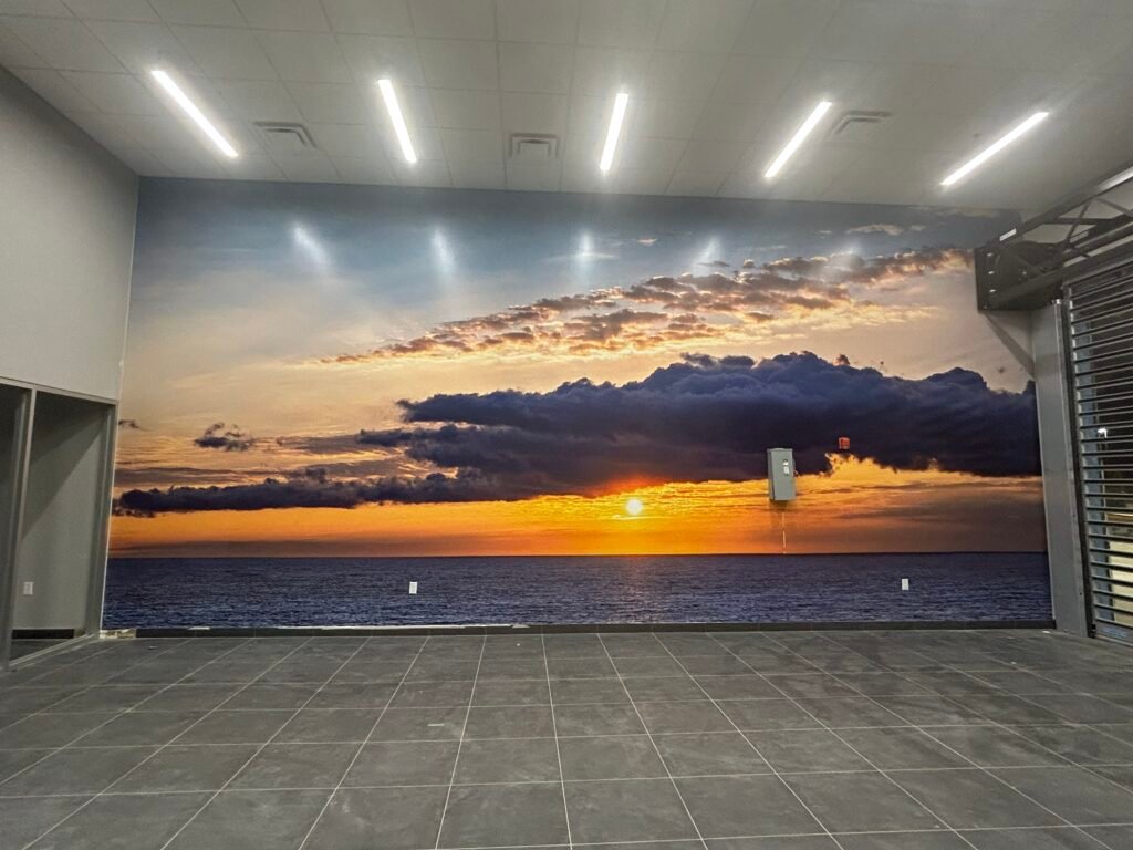 Graphic Murals
